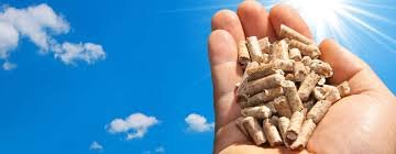 Buy Wood Pellets Suffolk