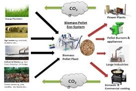 How To Reduce Emissions From Wood Pellet Biomass