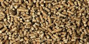 Liverpool Wood Pellets Reviews